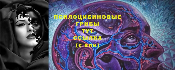 трава Арсеньев