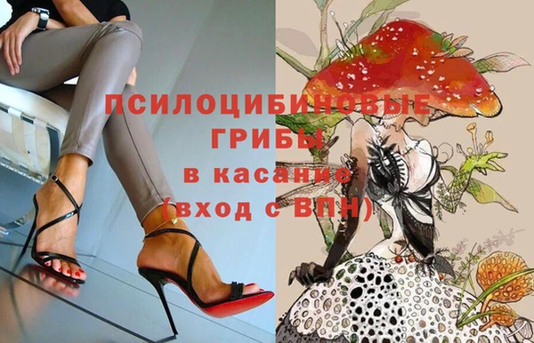 трава Арсеньев