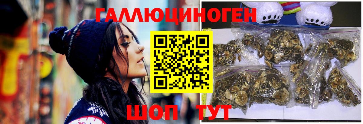 Галлюциногенные грибы Psilocybe  Вход с VPN  Новомосковск 